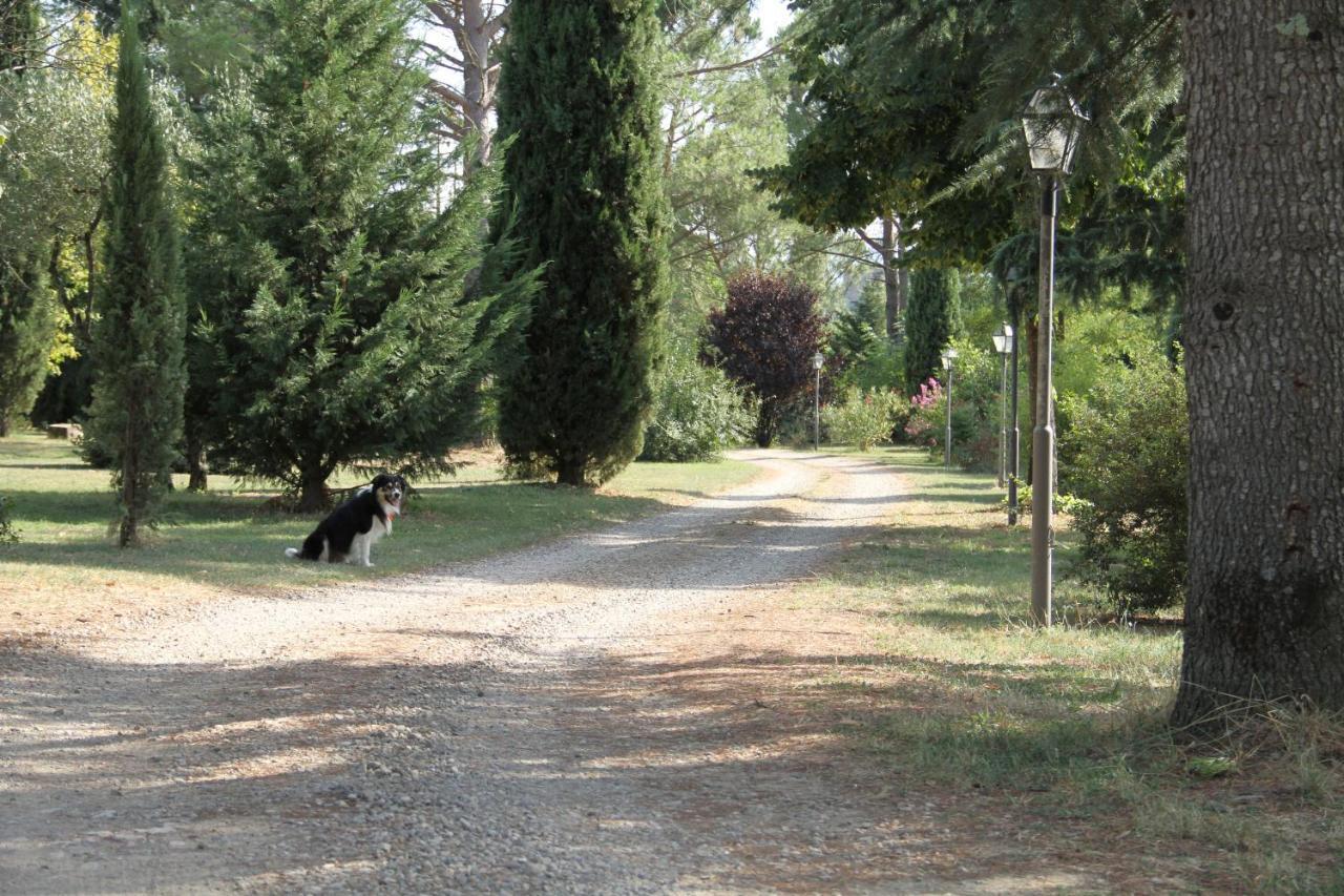 Villa Rigacci Hotel Reggello Zewnętrze zdjęcie